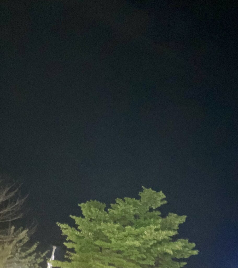 진 3 전자기기 없이 보내는 저녁 시간에 바라본 고요한 밤하늘과 나무 풍경